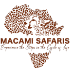MACAMI SAFARIS logo-01