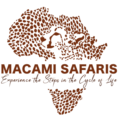 MACAMI SAFARIS logo-01